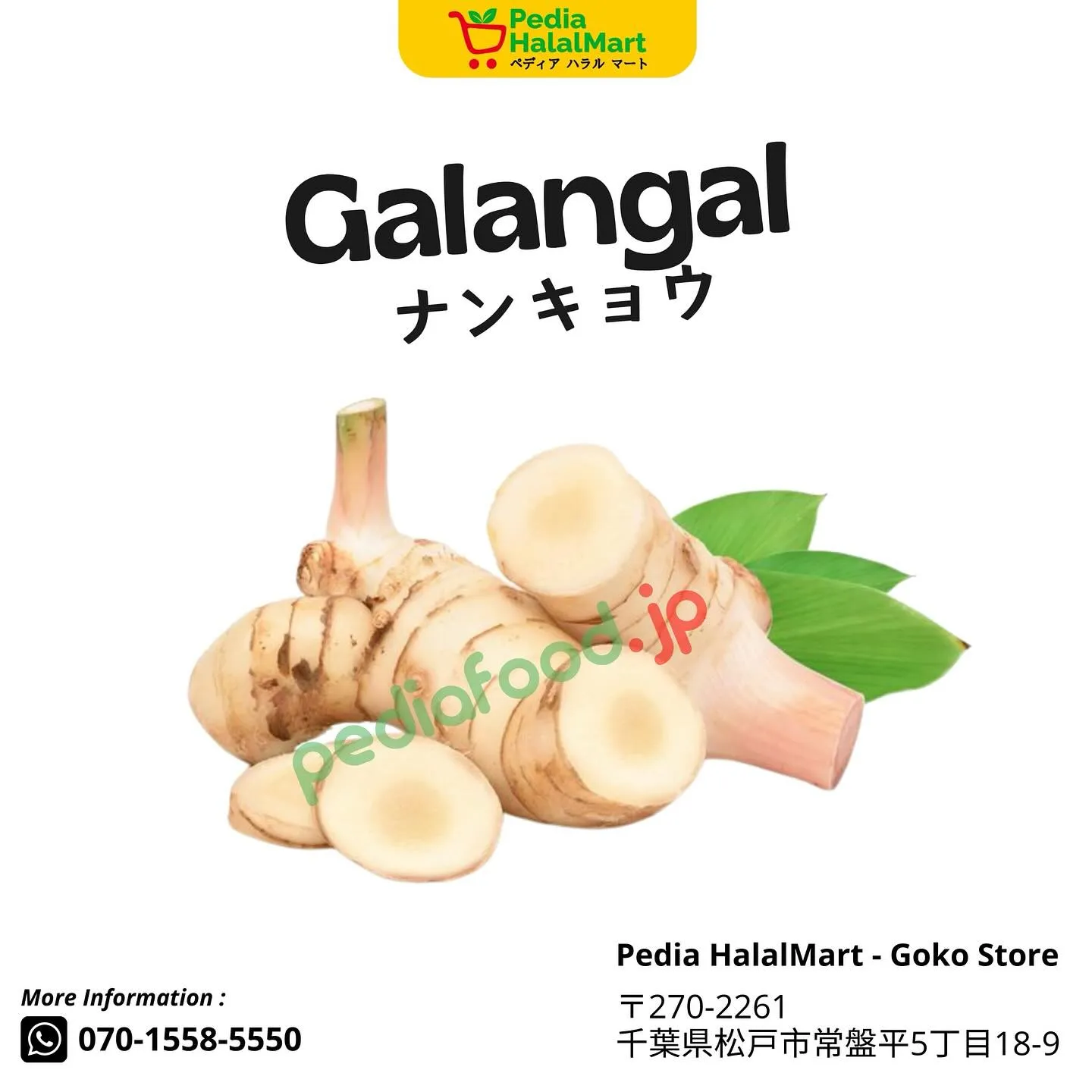 🌶️ Caption 1 – Gaya Informal &...