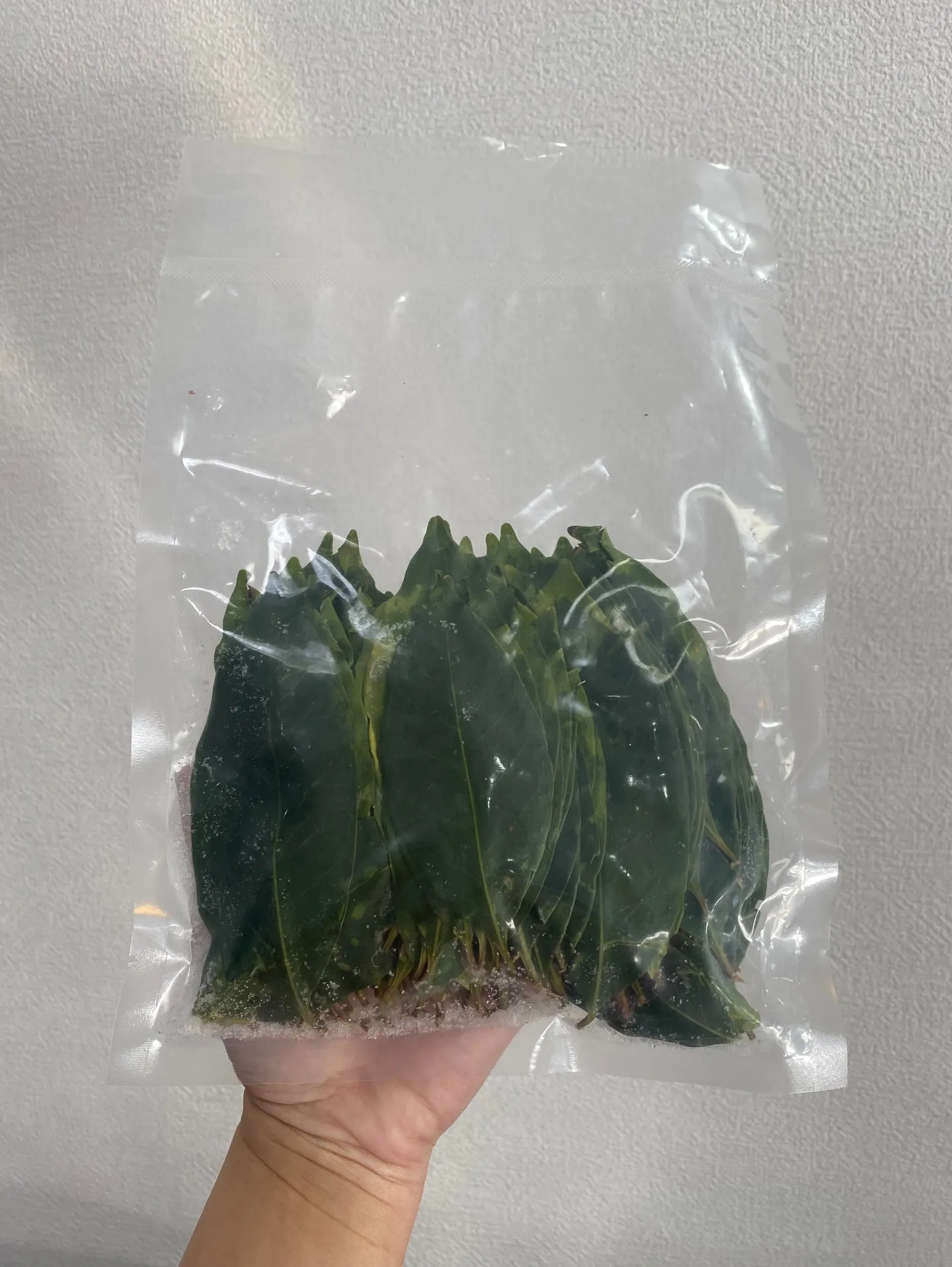 新鮮な香りをそのまま冷凍 ❄️🌿