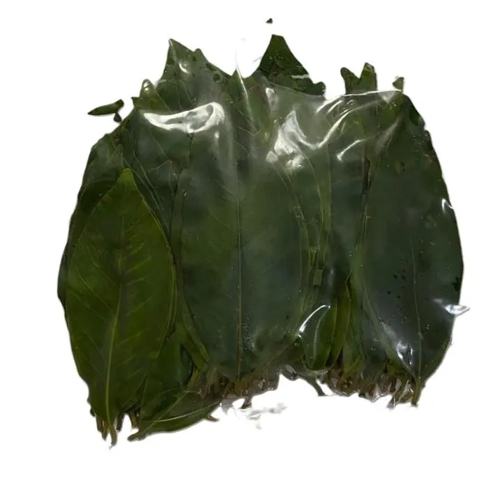 FROZEN BAY LEAF 100G