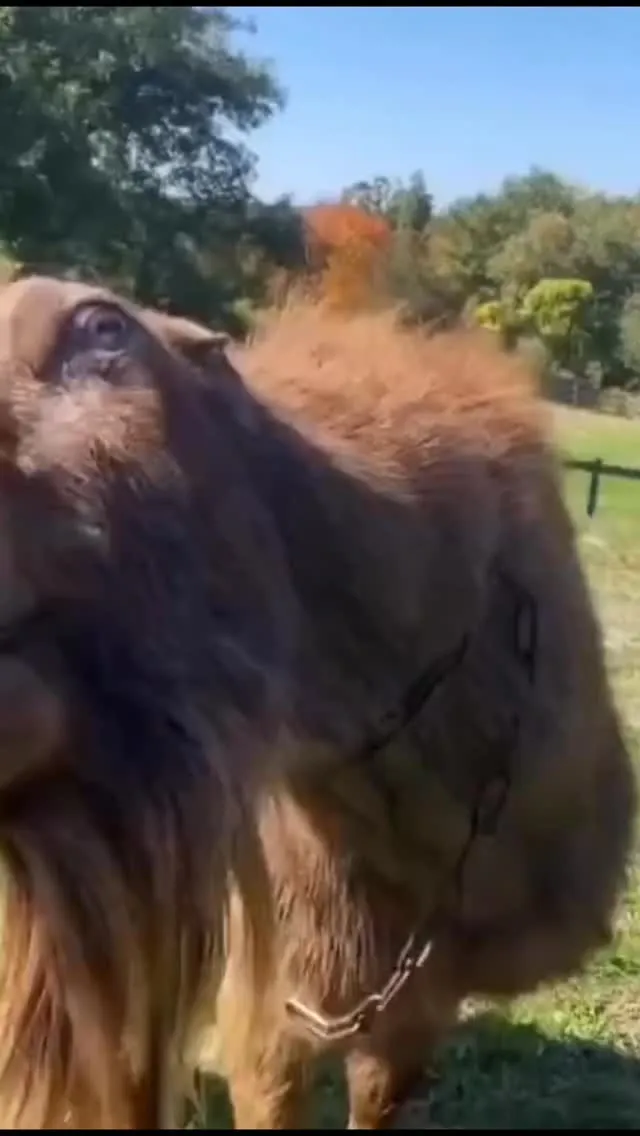 YEAR END SPECIAL PROMOTION FOR...